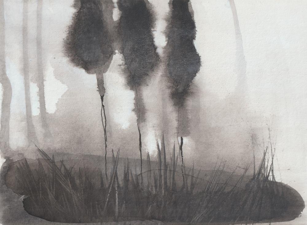 Brume d'encre