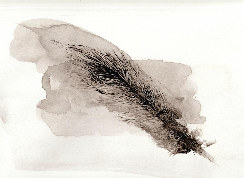 Plume